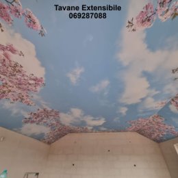 Фотография от Tavane Extensibile 3D 069287088