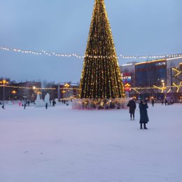 Фотография "26:12:2023г15:00"