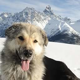 Фотография от svaneti da svani♥