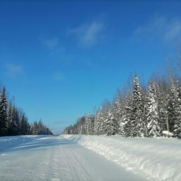 Фотография от Тамара Киселёва (Фадеева)