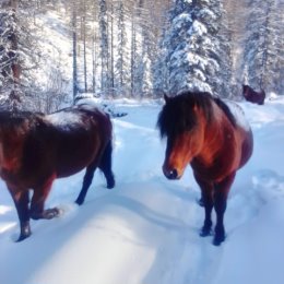 Фотография от Владимир Кисель