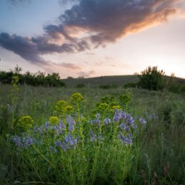 Фотография от Ирина Розенблит