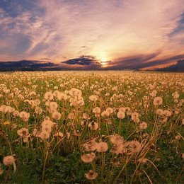 Фотография от Игорь Романенко