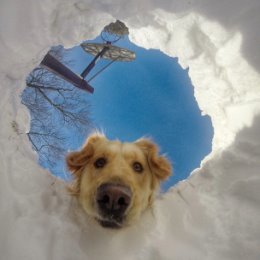 Фотография от сергей панамарев