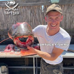 Фотография от Tortuga Fish