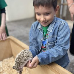 Фотография от Алена Прокопчук