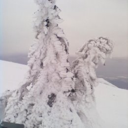 Фотография от Гульнара Султанова (Вафина))