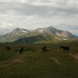 Фотография "Оштен."