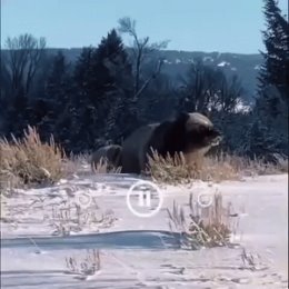 Фотография от Николай Батерук