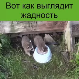 Фотография от Михаил Крамской