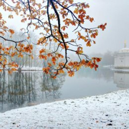 Фотография от Оля Симина