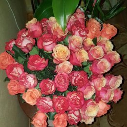 Фотография "55 роз от любимого ❤😙"