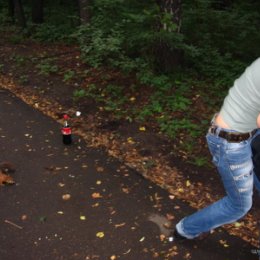 Фотография "За мной гналось ужаснейшее животное)))))"