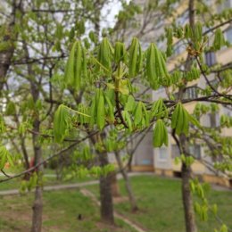 Фотография от Алексей Бардовский