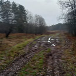 Фотография от Сергей Андреев