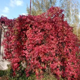 Фотография от Алексей Зотин