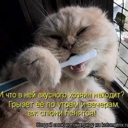 Фотография "кот чистит зубы!!!"