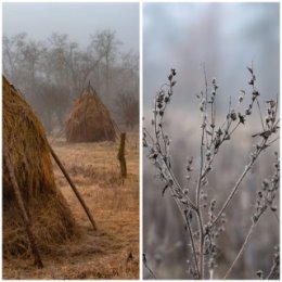 Фотография от Наталия Таушан