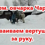 Фотография от Шмельков Александр