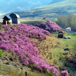 Фотография от Любовь Стародубцева (Руденко)