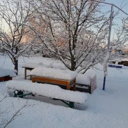 Фотография от Надежда Александрова