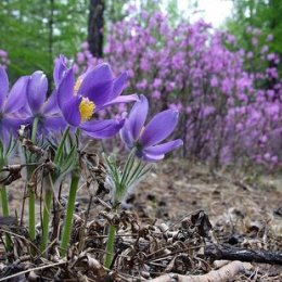 Фотография от Наталья Грицкевич