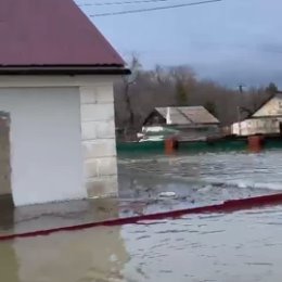 Фотография от Спивакова Наталья(Земцова)