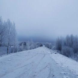 Фотография от татьяна полухина