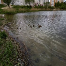 Фотография от Любовь Попченко(Сыровежкина)