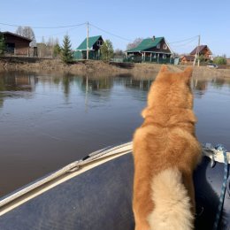 Фотография от алексей малмыгин