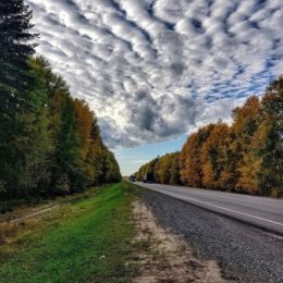 Fotografie de la Грузаперевозки По Алматы РК и на РФ