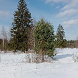 Фотография от Владимир Ресин