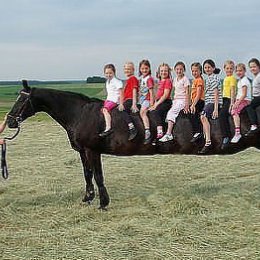 Фотография "Лимузин на прокат, кому нужно обращаться в коментарии"