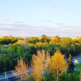 Фотография "Белые ночи близко🤩
Отличный весенний вечер, окутывает золотым, солнечным🌞 светом, деревья."