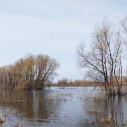 Фотография от Виктор Гетьман