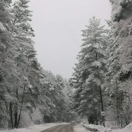 Фотография от Татьяна Карева (Смирнова)