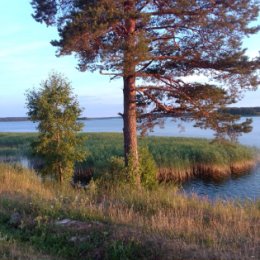 Фотография от Александр Николаев