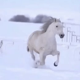 Фотография от Галина Мисько