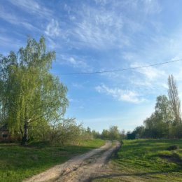 Фотография от Лариса Великанова