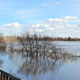 Фотография "Тобол. Паводок - 2024. Вода подошла к набережной бульвара Солнечный..."