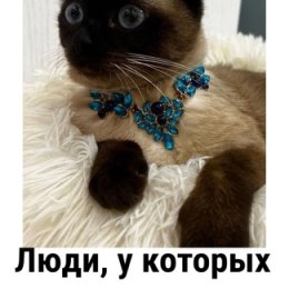 Фотография от Марисабелька♐ )))