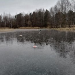 Фотография от ОЛЕГ УКЛЮДОВ