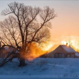 Фотография от Светлана Максимова (Мушкетова)