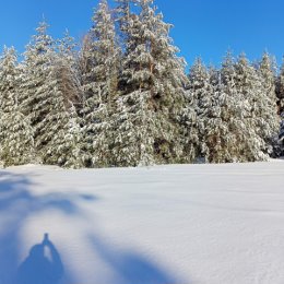 Фотография от Наталья Шерстянова