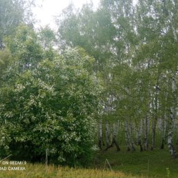 Фотография от Лариса Корнилова