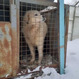 Фотография от Людмила Окорочкова АЛАБАИ