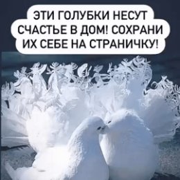 Фотография от Владимир Сазонов