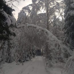 Фотография от Александр Скляренко