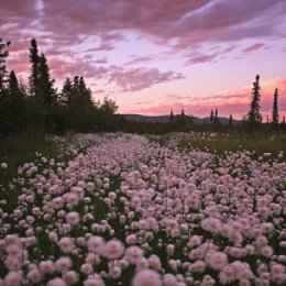 Фотография от Мария Капустина 🌺