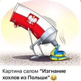 Фотография от Толь Толич